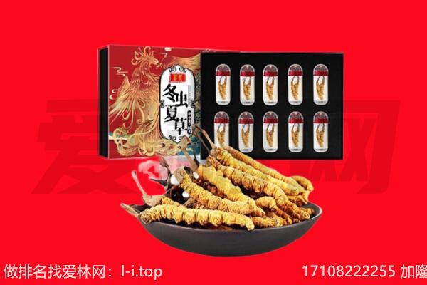 沙县回收虫草.jpg